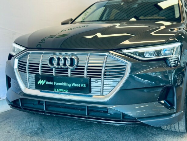 audi-e-tron-elektrisitet-2020-big-3