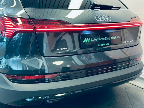 audi-e-tron-elektrisitet-2020-big-6