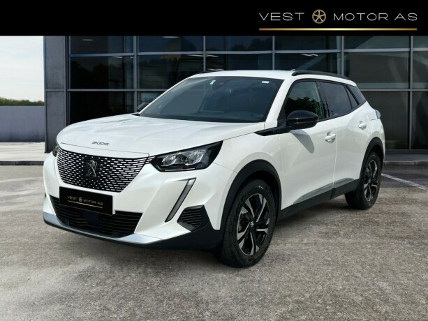 peugeot-2008-elektrisitet-2023-big-2