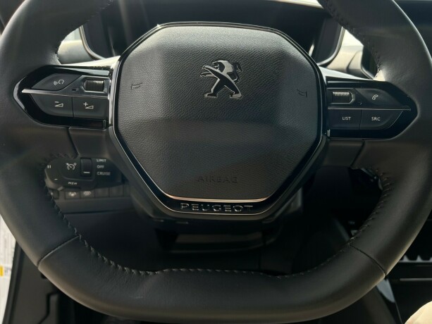 peugeot-2008-elektrisitet-2023-big-16