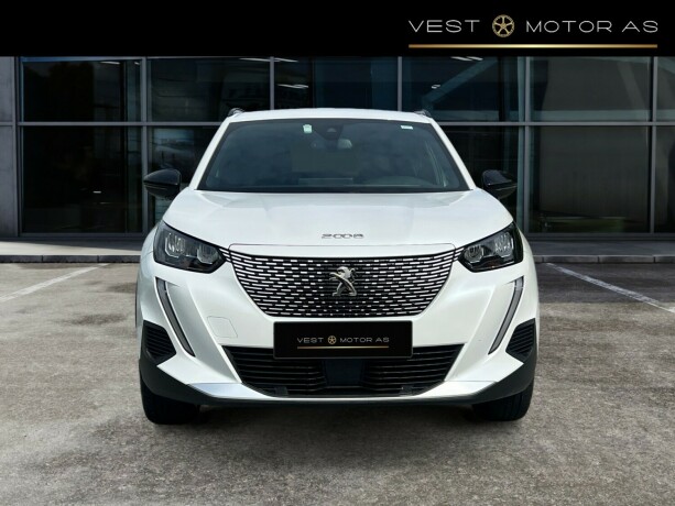 peugeot-2008-elektrisitet-2023-big-1