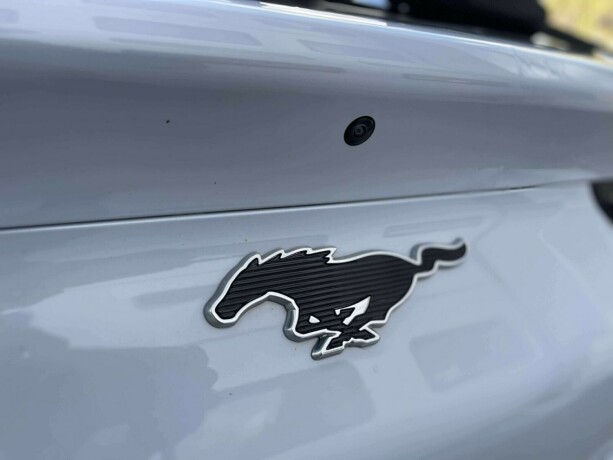 ford-mustang-mach-e-elektrisitet-2021-big-27