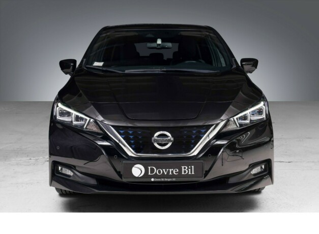 nissan-leaf-elektrisitet-2019-big-3