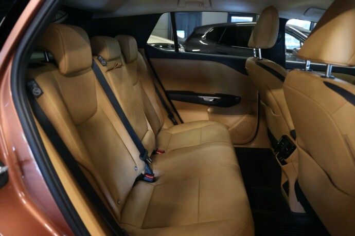 lexus-rz-elektrisitet-2023-big-9