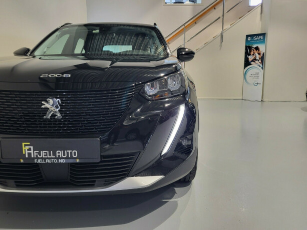 peugeot-2008-elektrisitet-2021-big-4