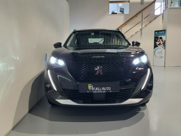 peugeot-2008-elektrisitet-2021-big-3
