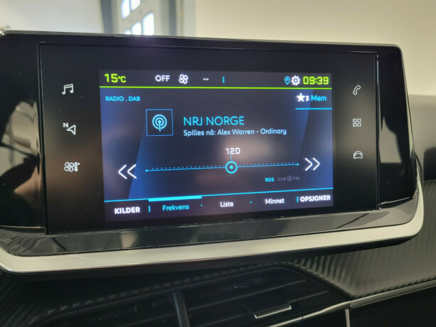 peugeot-2008-elektrisitet-2021-big-16