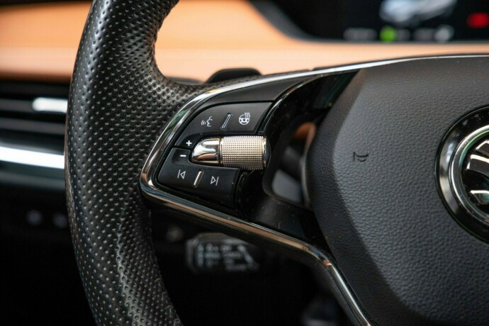 skoda-enyaq-elektrisitet-2021-big-15