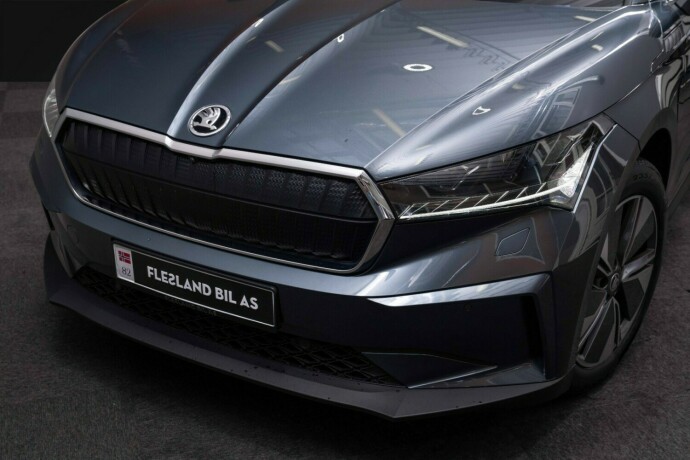 skoda-enyaq-elektrisitet-2021-big-4