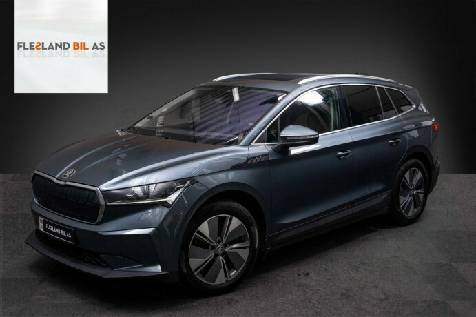 skoda-enyaq-elektrisitet-2021-big-0