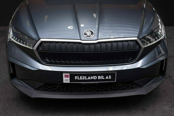 skoda-enyaq-elektrisitet-2021-big-5