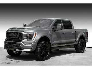 Ford | F-serie | Bensin | 2022
