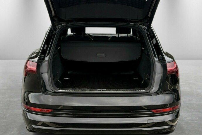 audi-e-tron-elektrisitet-2022-big-9