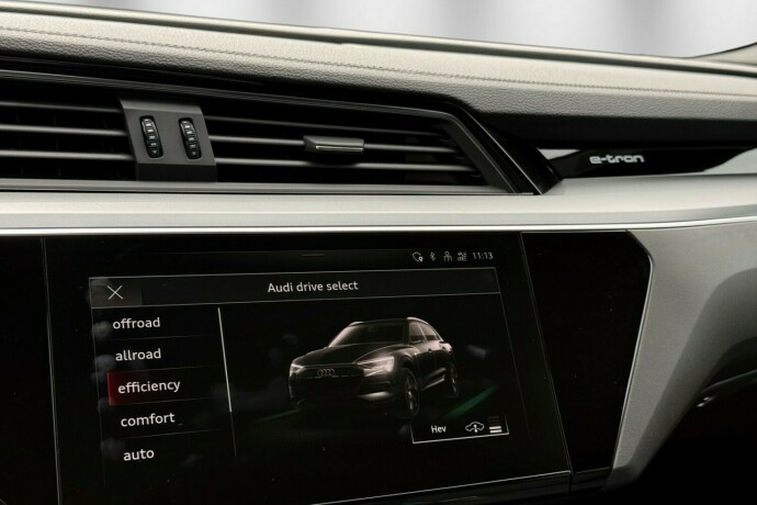 audi-e-tron-elektrisitet-2022-big-23