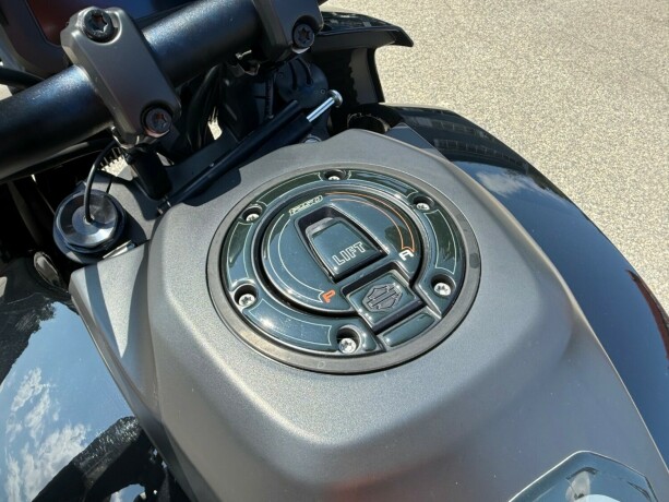 harley-davidson-pan-america-1250-special-bensin-2022-big-27