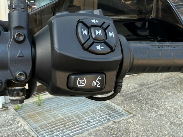 harley-davidson-pan-america-1250-special-bensin-2022-big-40