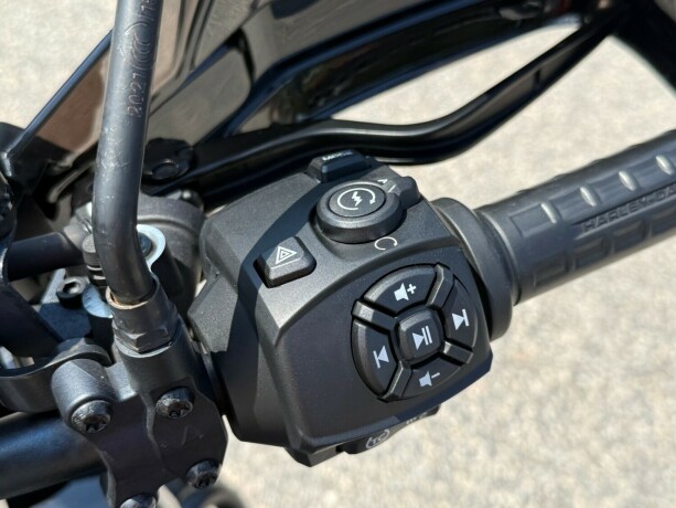 harley-davidson-pan-america-1250-special-bensin-2022-big-22