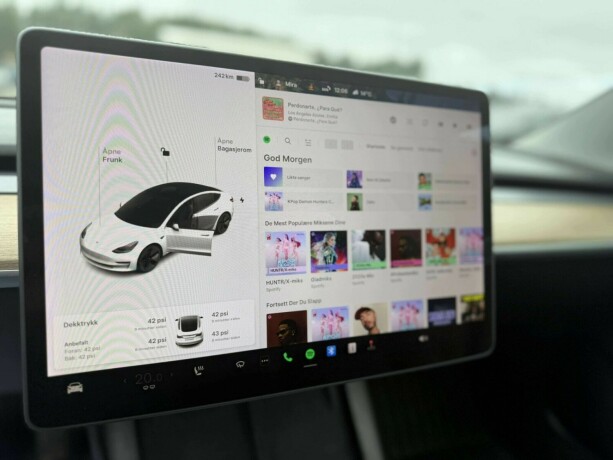 tesla-model-3-elektrisitet-2021-big-26