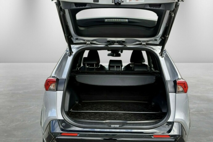 toyota-rav4-elektrisitetbensin-2020-big-10