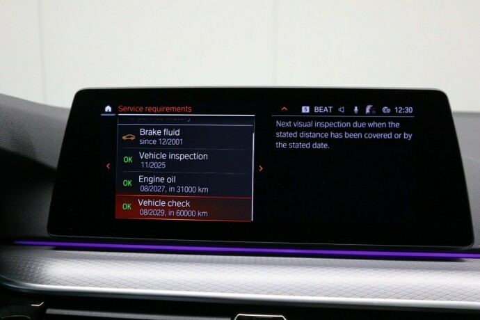 bmw-5-serie-elektrisitetbensin-2020-big-41