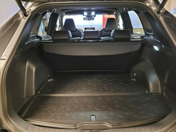 toyota-rav4-elektrisitetbensin-2022-big-17