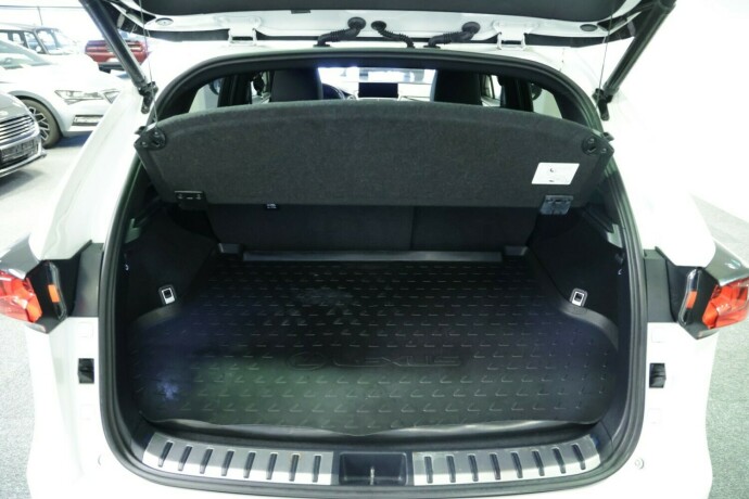 lexus-nx-300h-elektrisitetbensin-2020-big-25