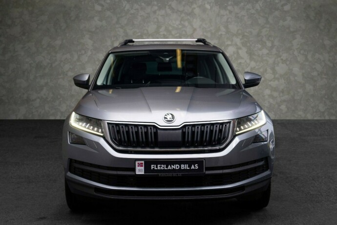 skoda-kodiaq-diesel-2019-big-5