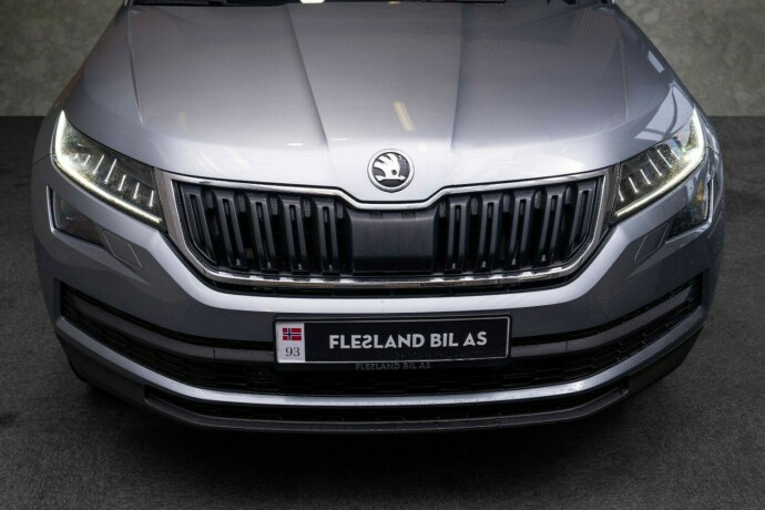 skoda-kodiaq-diesel-2019-big-3