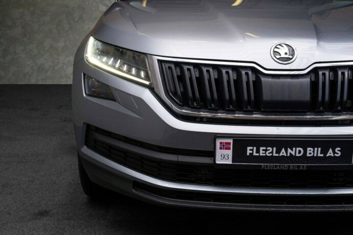 skoda-kodiaq-diesel-2019-big-4