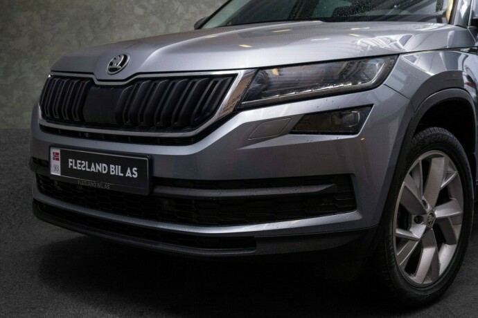 skoda-kodiaq-diesel-2019-big-1
