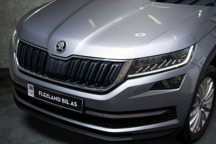 skoda-kodiaq-diesel-2020-big-2