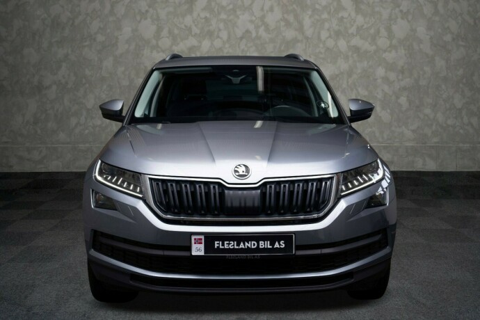 skoda-kodiaq-diesel-2020-big-6