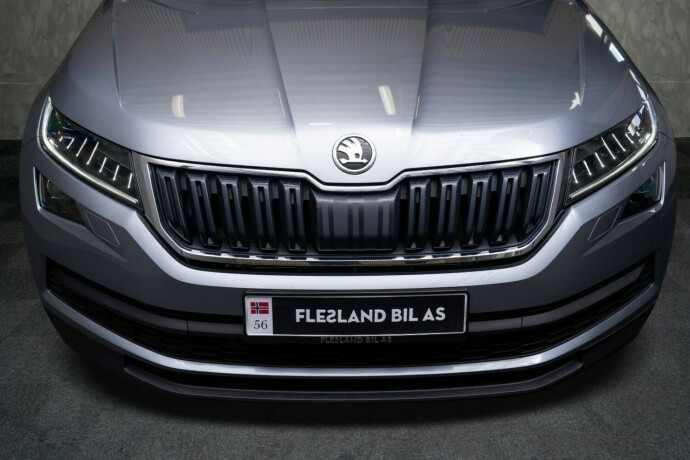 skoda-kodiaq-diesel-2020-big-4