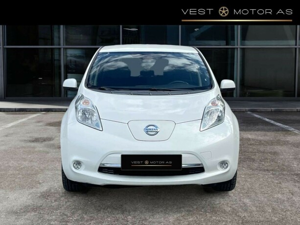 nissan-leaf-elektrisitet-2014-big-1
