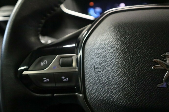peugeot-2008-elektrisitet-2021-big-21