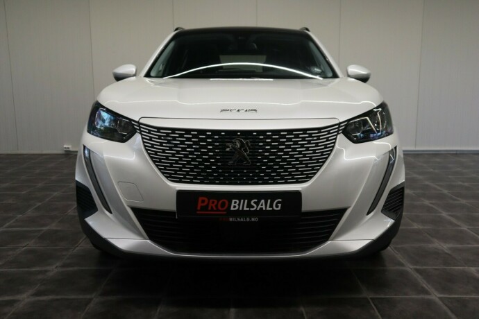 peugeot-2008-elektrisitet-2021-big-8